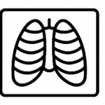 Radiography Assistants And Imaging Support Workers